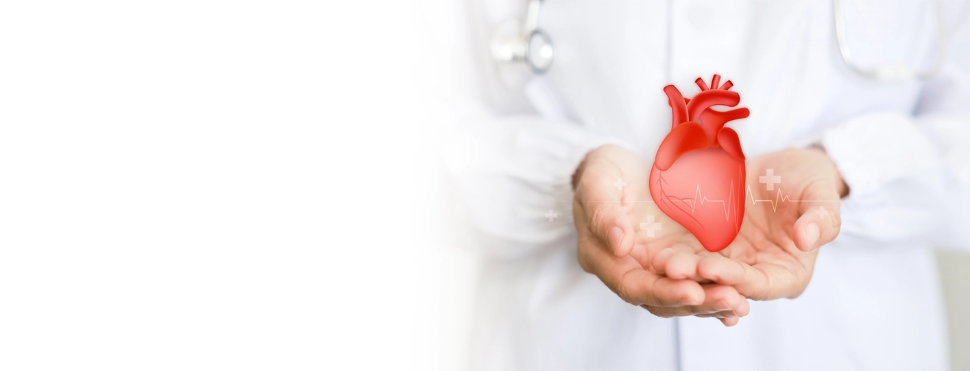 World Heart Day 2025: Promoting Cardiovascular Health Awareness
